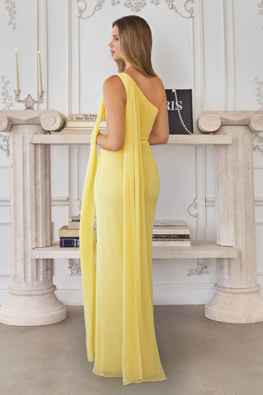 One Shoulder Long Fitted Formal Dress