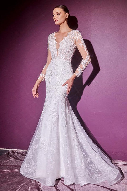 Long Sleeve Lace Mermaid Wedding Dress