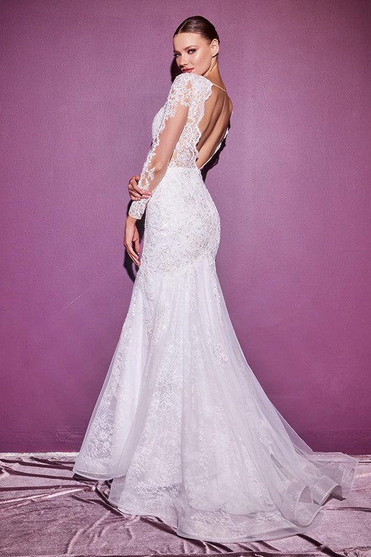 Long Sleeve Lace Mermaid Wedding Dress