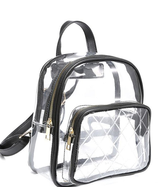 Clear Mini Backpack Purse with Detachable Straps