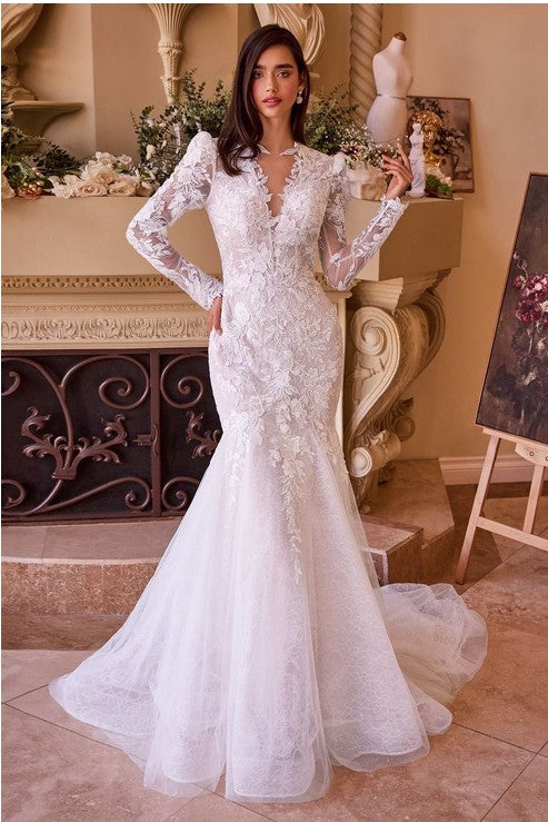 Long Sleeve V Neck Lace Mermaid Open Back Bridal Dress with Train