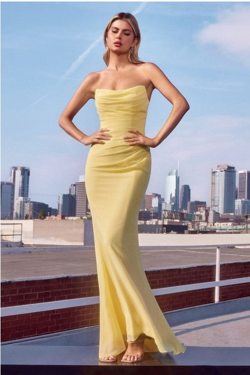 Strapless Chiffon Long Formal Dress