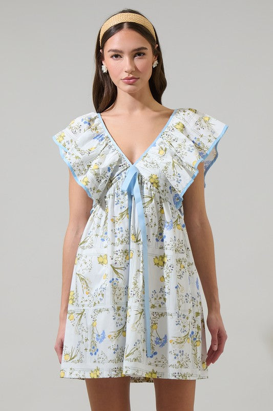 Dramatic Sleeveless Mini Babydoll Floral Dress