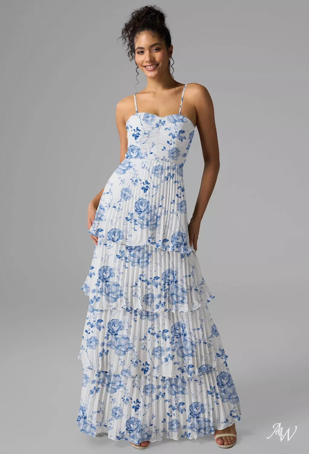 Blue Batanical Floral Chiffon Maxi Dress