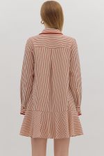 Striped long sleeve mini dress featuring embroidered trim along button placket and pockets