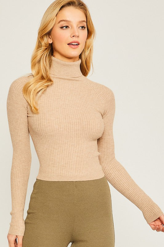 Turtle Neck Long Sleeve Top